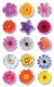Avery Zweckform Z-Design No. 54386 öntapadó papír matrica - színes virágok motívumokkal - kiszerelés: 1 ív / csomag (Avery Z-Design 54386)