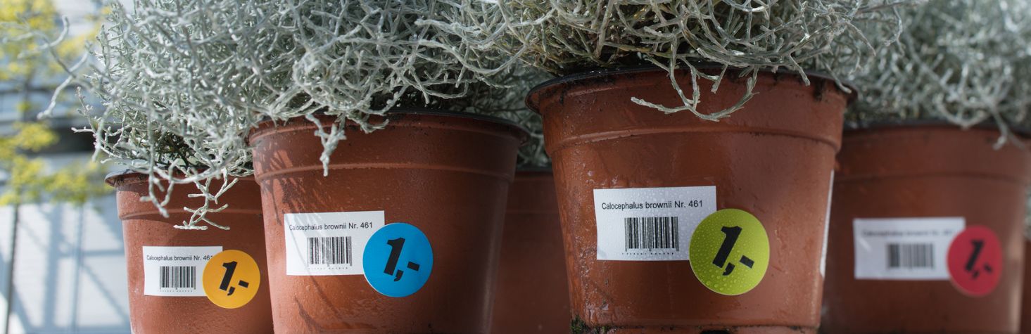 Környezetbarát, natúr barna színű, szilfirostból készült univerzális öntapadós etikett címke.